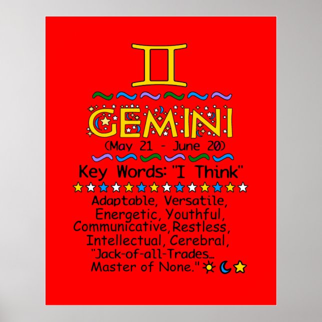 GEMINI POSTER (Vorne)