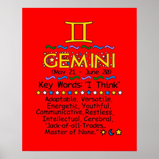 GEMINI POSTER (Vorne)