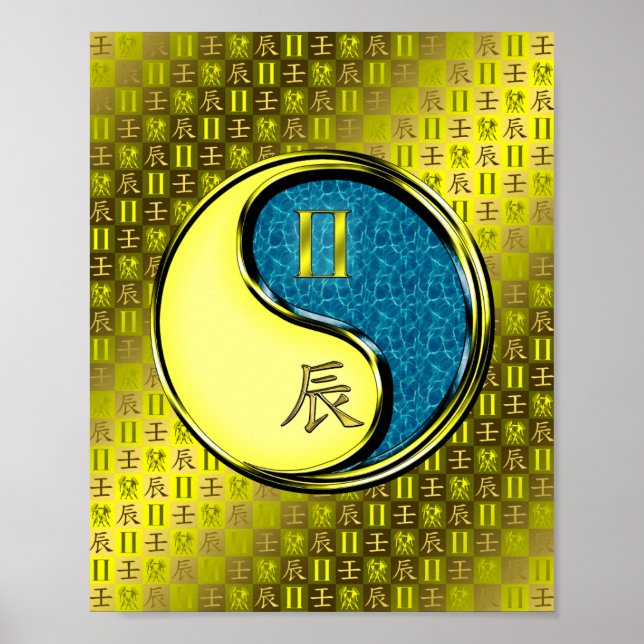 Gemini und Wasserdrache Poster (Vorne)