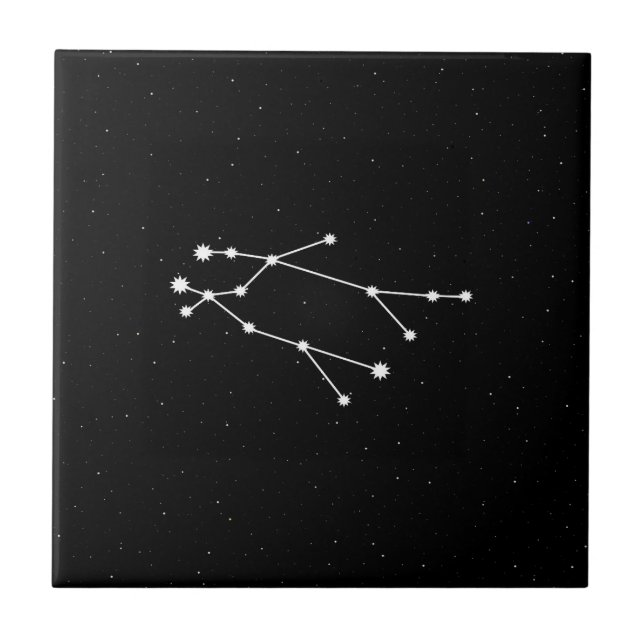 Gemini Zodiac Konstellation Moderne Schwarz & Weiß Fliese (Vorderseite)