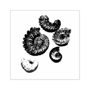 Gemischte Fossilien Gummistempel