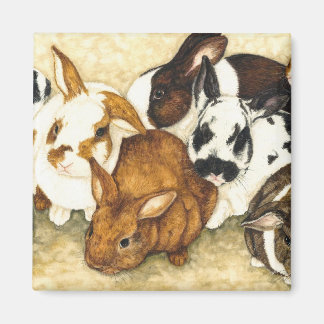 Gemischte Gesellschaft - Bunny Magnet