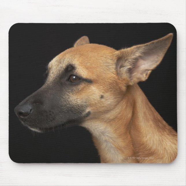 Gemischter Hund, der auf den links auf schwarz sch Mousepad (Vorne)