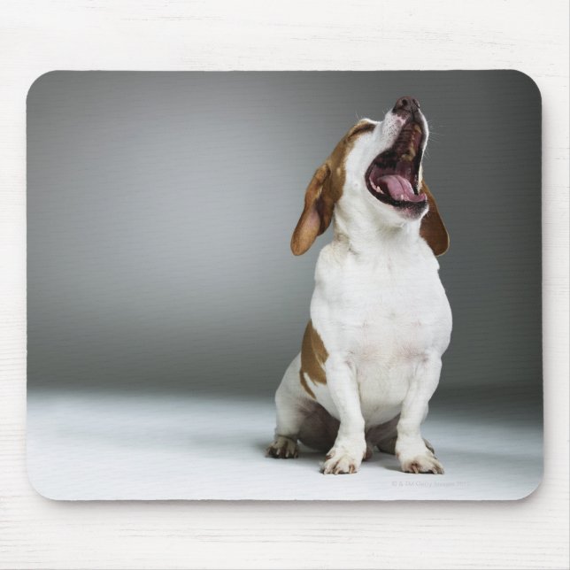 Gemischter Hundegähnchen, nah-up Mousepad (Vorne)