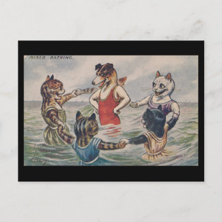 Gemischtes Baden - Hund und Katzen Postkarte