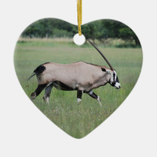 Gemsbok-Antelope Keramikornament