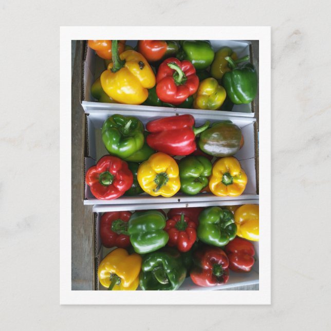 Gemüse auf dem Markt von Amish Postkarte (Vorderseite)