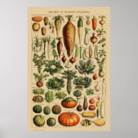 Gemüse Vintage französische Buchseite