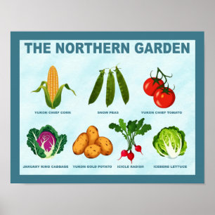 Gemüsegarten Poster
