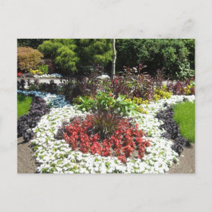 Gemüsegarten Postkarte