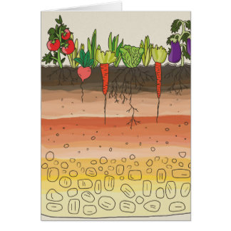 Gemüsegartenbodenerde überlagert Naturkunst