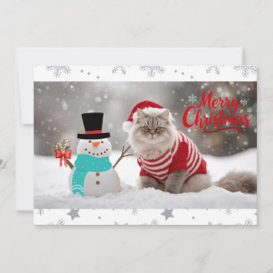 Gemütliche Exotic Kurzfristige Katze Weihnachten P