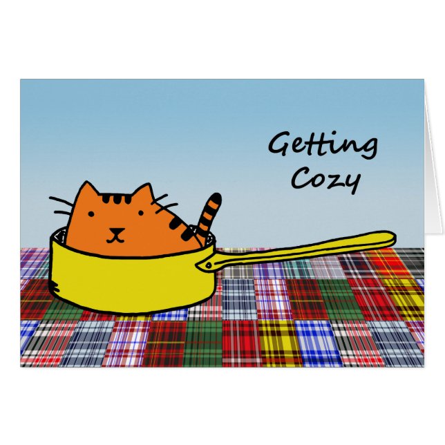 Gemütliche, orangefarbene Katze in gelbem Pan (Vorderseite (Horizontal))