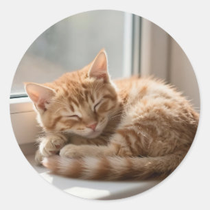 Gemütliche rote Katze sonnt sich im Nickerchen Runder Aufkleber