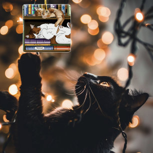 Gemütliche Schlafende Katzen Bücherregal Illustrat Keramikornament