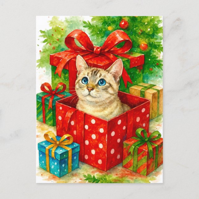 Gemütliche Überraschung Katze Weihnachten Postkart (Vorderseite)