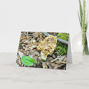 Gemütlicher, aber romantischer Pilzsaal Spaß I Lie Karte