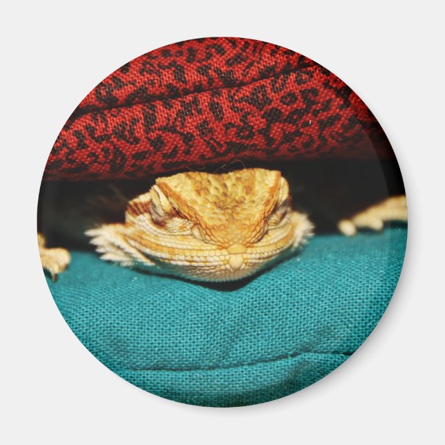 Gemütlicher Bartdrache Magnet (Vorne)