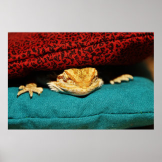 Gemütlicher Bartdrache Poster