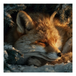 Gemütlicher Fuchs im Schnee Poster