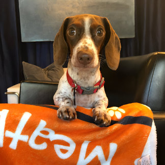 Gemütlicher Hund Blanket Personalisiert Orange Fleecedecke