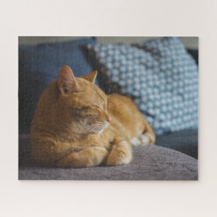Gemütlicher Ingwerkatze Puzzle