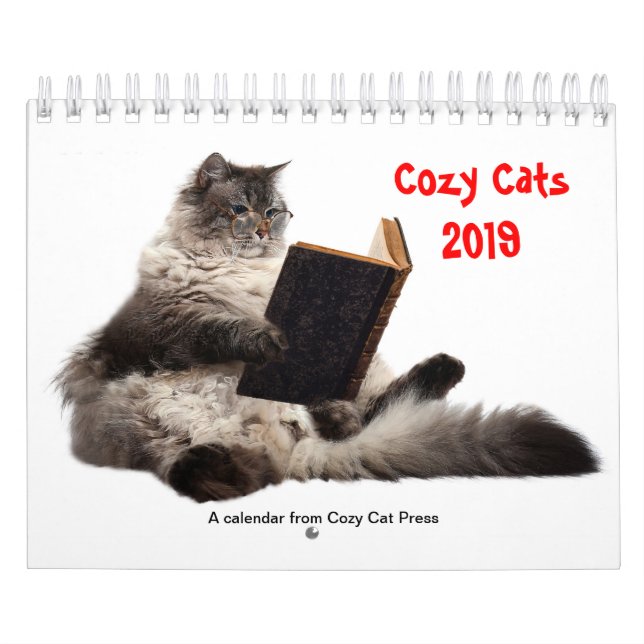 Gemütlicher Katzenkalender 2019 Kalender (Titelbild)