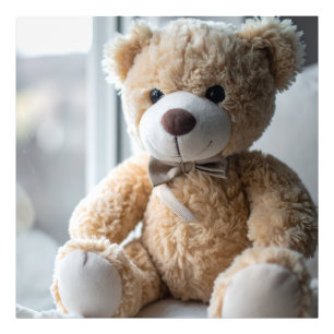 Gemütlicher Sitzender Teddybär Fotodruck