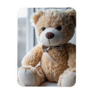 Gemütlicher sitzender Teddybär Magnet
