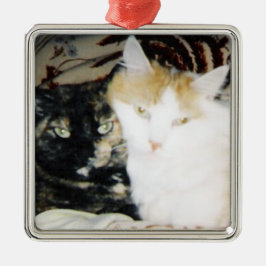 Gemütliches Foto von zwei Katzenjacke Ornament Aus Metall