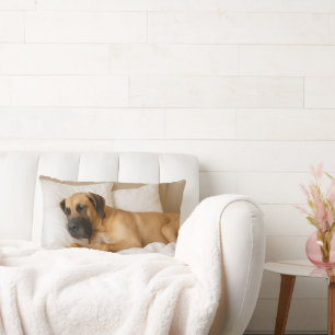 Gemütliches Great Dane Lumbar Kissen