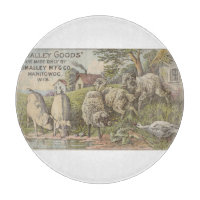 Gemütliches Landhaus Tiere Rustikale Landschaft