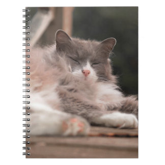 Gemütliches Schlafendes Fluffiges Katzen Notizbuch Notizblock