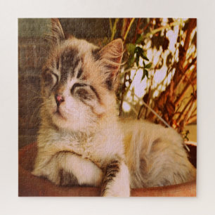 Gemütliches Schlafkatze Puzzle