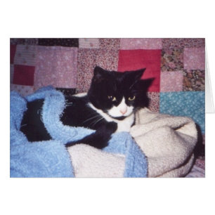 "Gemütliches Tiki "