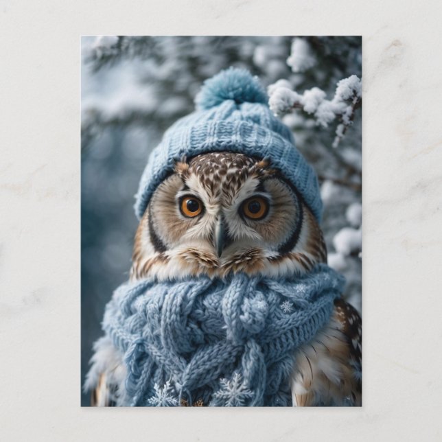 Gemütliches Whimsisches Winter Wonderland Owl Postkarte (Vorderseite)
