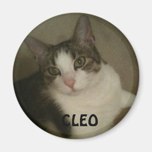 Genannter Magnet Pet Foto