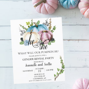 Gender Reveal Pumpkin Pink Blue Herbst Haushalt