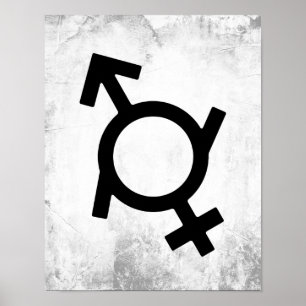 Genderfluid Symbol für Frauen und männliche Geschl Poster
