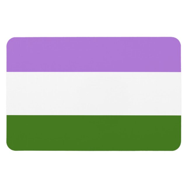 GENDERQUEER FLAG ORIGINAL -.pnng Magnet (Horizontal)