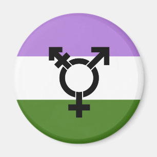 Genderqueer-Stolzflagge Magnet