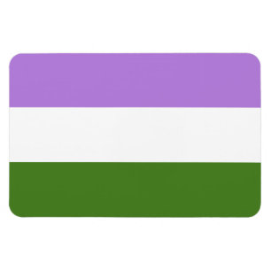 Genderqueer-Stolzflagge Magnet