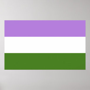 Genderqueer-Stolzflagge Poster