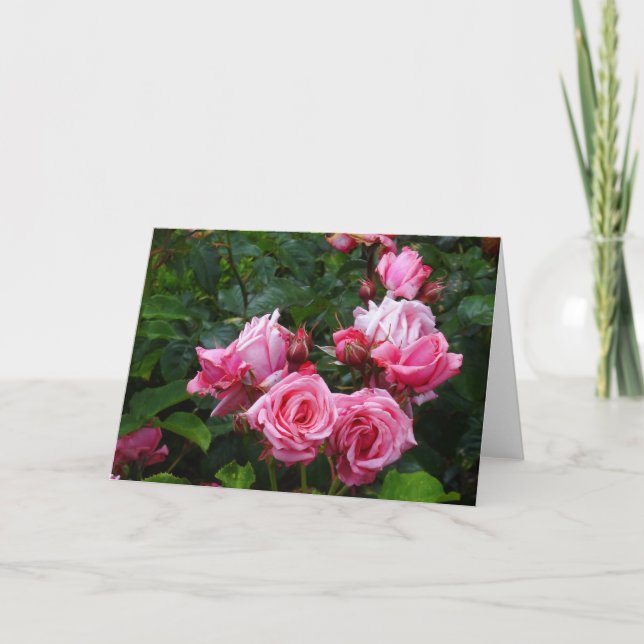 Gene Boerner Rose #1 Karte (Vorderseite)