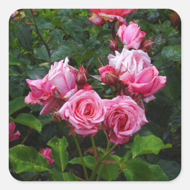 Gene Boerner Rose #1 Stickers (Vorderseite)