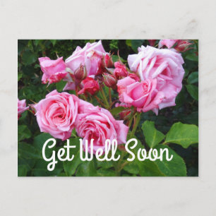 Gene Boerner Rose #3 Postcard Postkarte