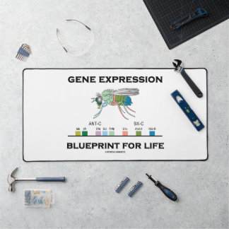 Gene Expression Blueprint for Life Homeobox Genes Schreibtischunterlage