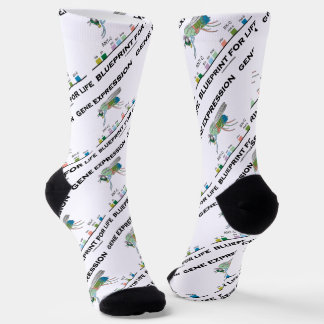 Gene Expression Blueprint for Life Homeobox Genes Socken