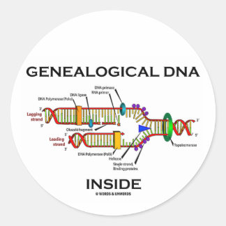 Genealogische DNA-Inside (DNA-Replikation) Runder Aufkleber