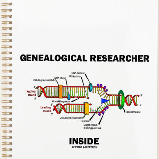 Genealogischer Forscher in der DNA-Replikation Planer